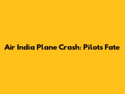 Air India Plane Crash: Pilot's Fate
