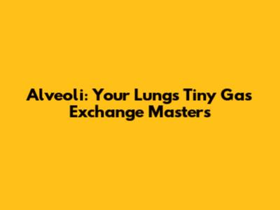 Alveoli: Your Lungs' Tiny Gas Exchange Masters