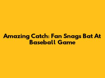 Amazing Catch: Fan Snags Bat At Baseball Game