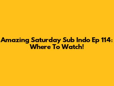 Amazing Saturday Sub Indo Ep 114: Where To Watch!
