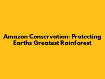Amazon Conservation: Protecting Earth's Greatest Rainforest