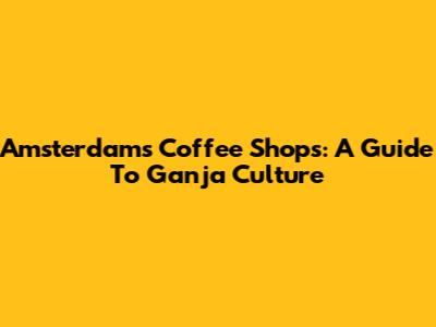 Amsterdam's Coffee Shops: A Guide To Ganja Culture