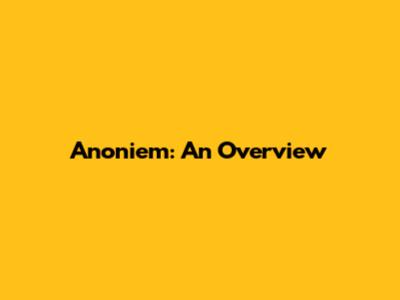 Anoniem: An Overview