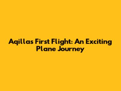 Aqilla's First Flight: An Exciting Plane Journey
