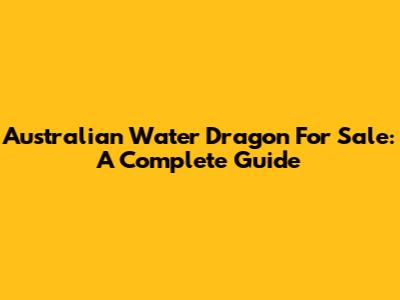 Australian Water Dragon For Sale: A Complete Guide