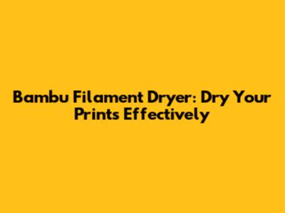 Bambu Filament Dryer: Dry Your Prints Effectively