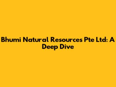 Bhumi Natural Resources Pte Ltd: A Deep Dive