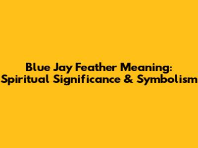 Blue Jay Feather Meaning: Spiritual Significance & Symbolism
