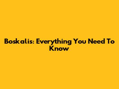Boskalis: Everything You Need To Know