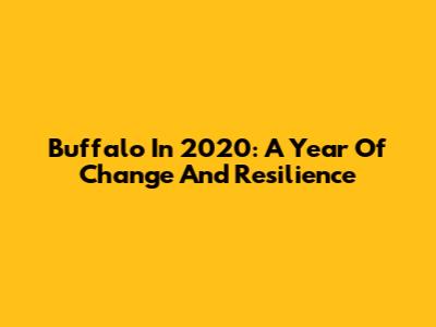 Buffalo In 2020: A Year Of Change And Resilience