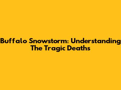 Buffalo Snowstorm: Understanding The Tragic Deaths
