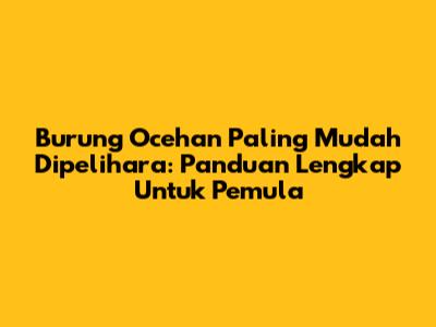 Burung Ocehan Paling Mudah Dipelihara: Panduan Lengkap Untuk Pemula