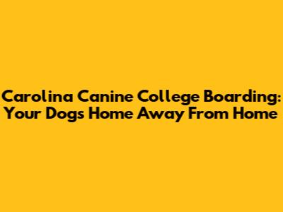 Carolina Canine College Boarding: Your Dog's Home Away From Home