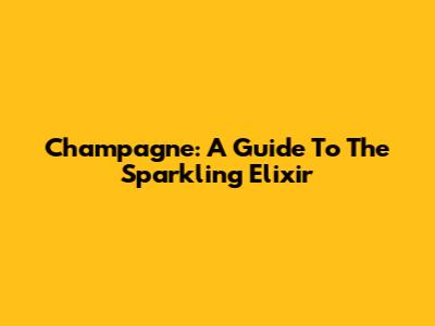 Champagne: A Guide To The Sparkling Elixir