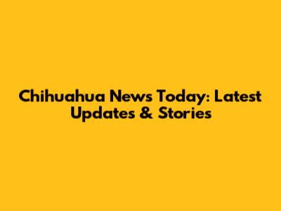 Chihuahua News Today: Latest Updates & Stories
