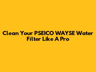 Clean Your PSEICO WAYSE Water Filter Like A Pro
