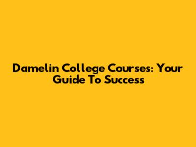 Damelin College Courses: Your Guide To Success