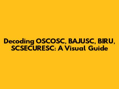 Decoding OSCOSC, BAJUSC, BIRU, SCSECURESC: A Visual Guide