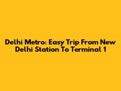 Delhi Metro: Easy Trip From New Delhi Station To Terminal 1