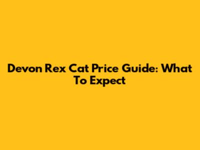 Devon Rex Cat Price Guide: What To Expect