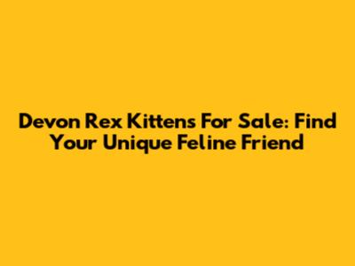 Devon Rex Kittens For Sale: Find Your Unique Feline Friend