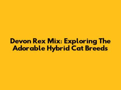 Devon Rex Mix: Exploring The Adorable Hybrid Cat Breeds