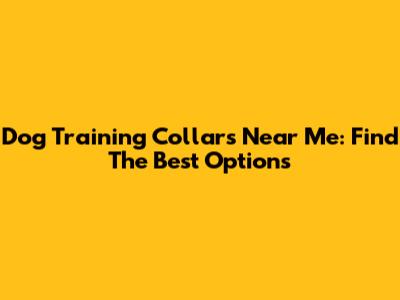Dog Training Collars Near Me: Find The Best Options
