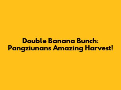 Double Banana Bunch: Pangziunan's Amazing Harvest!