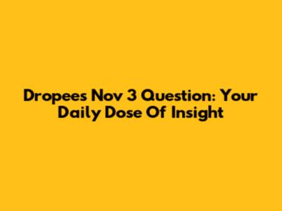 Dropee's Nov 3 Question: Your Daily Dose Of Insight