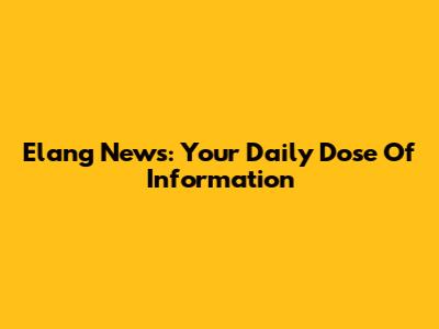 Elang News: Your Daily Dose Of Information