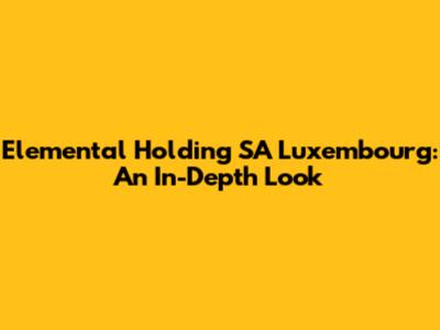 Elemental Holding SA Luxembourg: An In-Depth Look