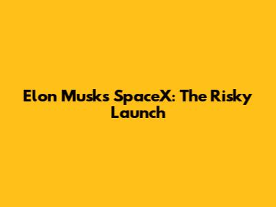 Elon Musk's SpaceX: The Risky Launch