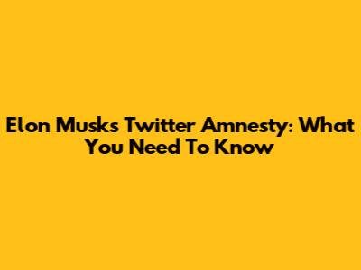 Elon Musk's Twitter Amnesty: What You Need To Know