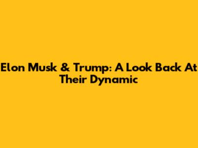 Elon Musk & Trump: A Look Back At Their Dynamic