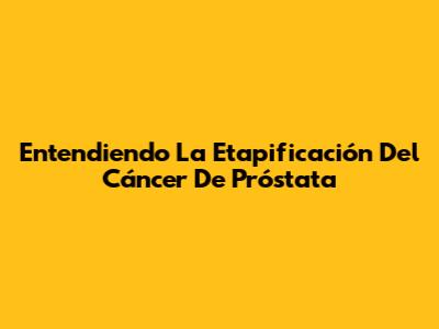 Entendiendo La Etapificación Del Cáncer De Próstata