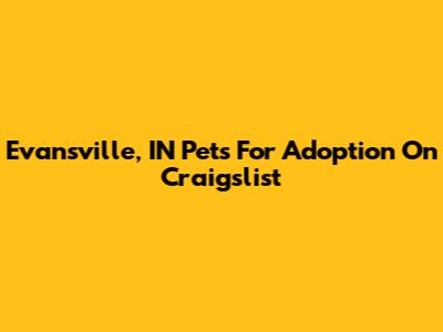 Evansville, IN Pets For Adoption On Craigslist