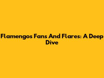 Flamengo's Fans And Flares: A Deep Dive