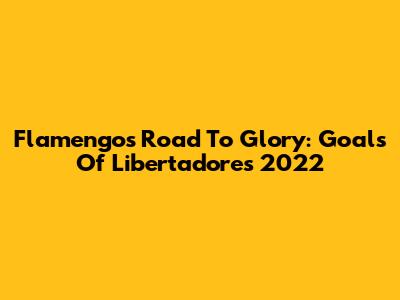 Flamengo's Road To Glory: Goals Of Libertadores 2022