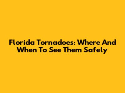 Florida Tornadoes: Where And When To See Them Safely