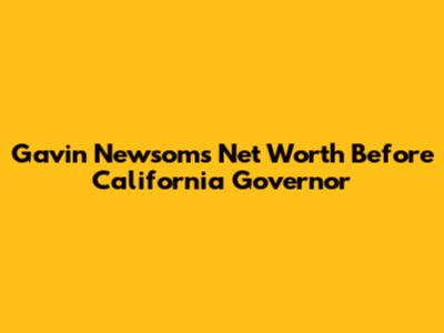 Gavin Newsom's Net Worth Before California Governor