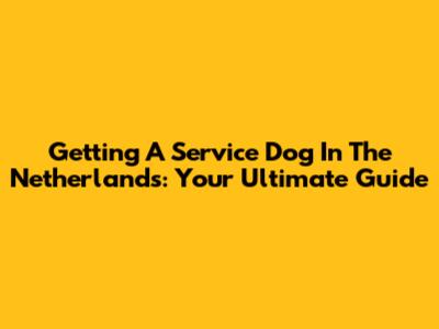 Getting A Service Dog In The Netherlands: Your Ultimate Guide