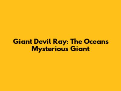 Giant Devil Ray: The Ocean's Mysterious Giant