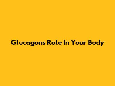 Glucagon's Role In Your Body