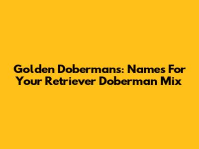 Golden Dobermans: Names For Your Retriever Doberman Mix