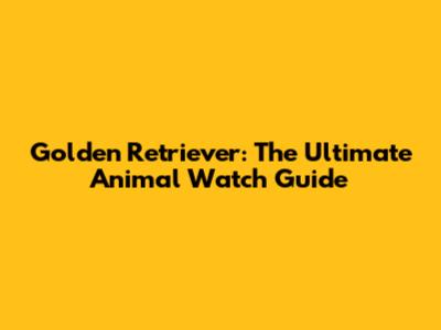 Golden Retriever: The Ultimate Animal Watch Guide