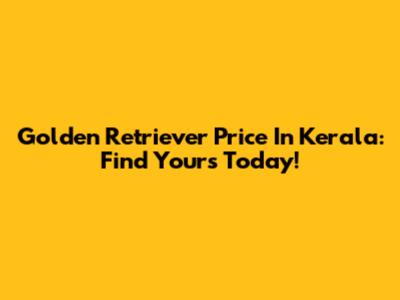 Golden Retriever Price In Kerala: Find Yours Today!