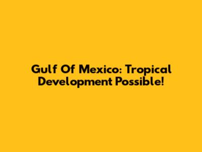 Gulf Of Mexico: Tropical Development Possible!