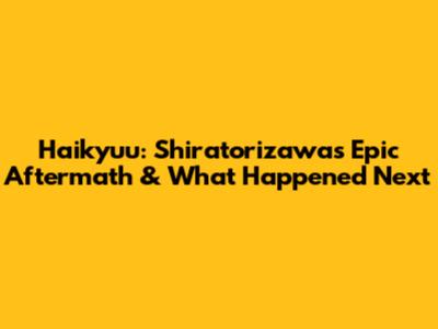 Haikyuu: Shiratorizawa's Epic Aftermath & What Happened Next