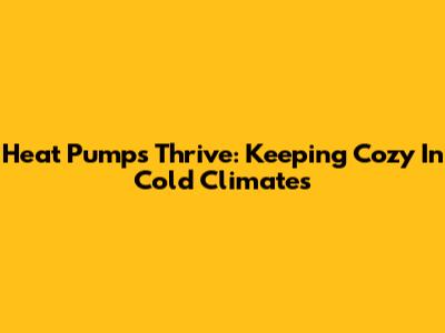Heat Pumps Thrive: Keeping Cozy In Cold Climates