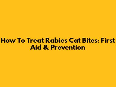 How To Treat Rabies Cat Bites: First Aid & Prevention